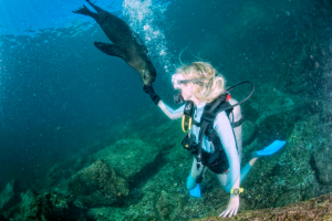 Galapagos Diving Tour